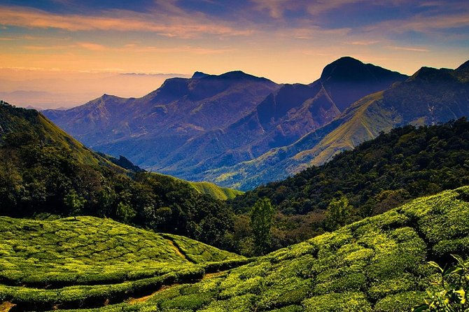 Hill station farm house stay - Cumbum and Theni market breaks: where you see Kerala beyond the brochure