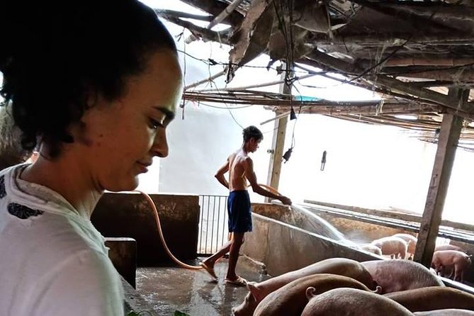 Ho Chi Minh City Full-Day Farm trip with Healthy Cooking Class - How the farm-to-table day works in real time
