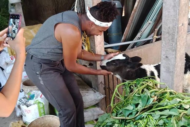 Ho Chi Minh City Full-Day Farm trip with Healthy Cooking Class - Rice paper factory: the snack you finally understand