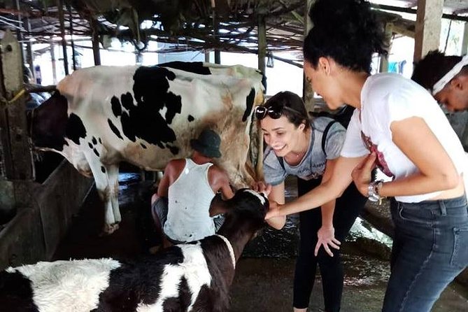 Ho Chi Minh City Full-Day Farm trip with Healthy Cooking Class - Farm animals, feeding, and what you learn before you cook