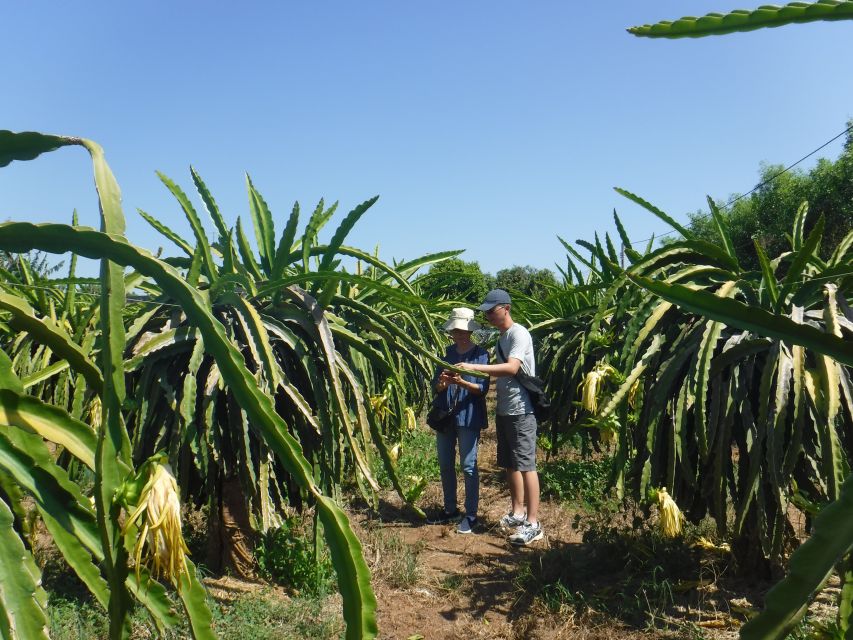 Ho Coc Beach, Nature Reserve & Dragon Fruit Farm Day Tour - Lunch with Mrs. Thuan: the best reason to take this tour