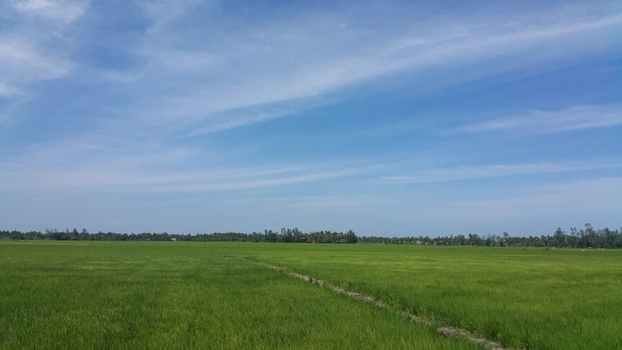 Ho Coc Beach, Nature Reserve & Dragon Fruit Farm Day Tour - Should you book Ho Coc Beach, Phước Bửu, and the dragon fruit farm?