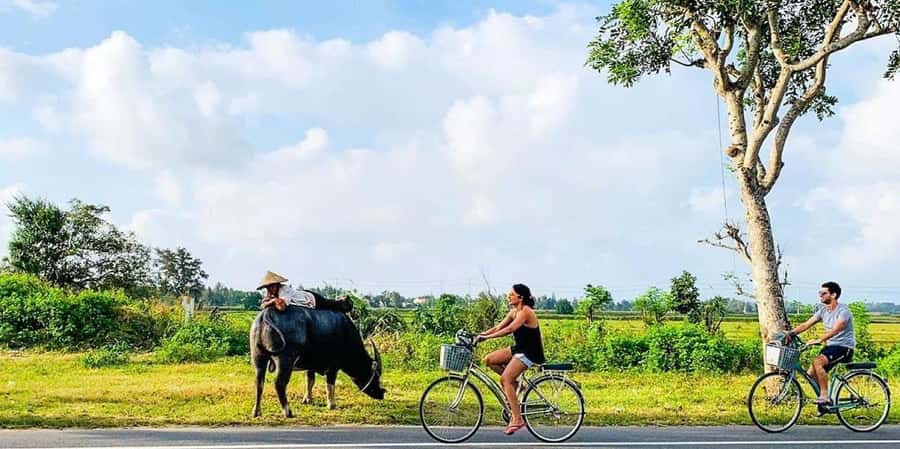 Hoi An: Countryside Bicycle Tour with Farm, Basket Boat Ride - Key highlights to expect