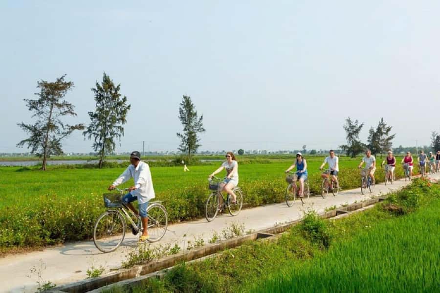 Hoi An: Countryside Bicycle Tour with Farm, Basket Boat Ride - Rice paddies and working farms: what you’ll actually learn from the land