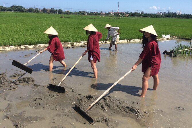Hoi An Rice Farm Tour and Buffalo Riding with Local Home Meal - Key things you’ll notice on this tour