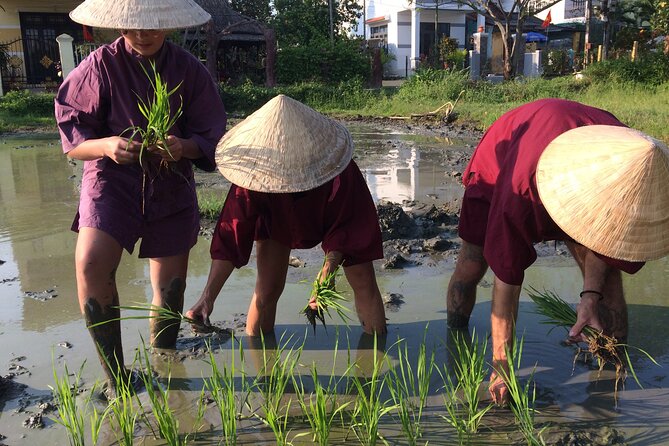 Hoi An Rice Farm Tour and Buffalo Riding with Local Home Meal - Live cooking demo and lunch with the rice-farming family