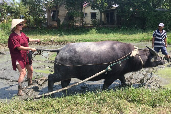Hoi An Rice Farm Tour and Buffalo Riding with Local Home Meal - Who should book this tour (and who should think twice)