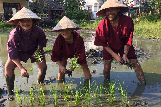 Hoi An Rice Farm Tour and Buffalo Riding with Local Home Meal - Timing, pace, and what to expect on the ground