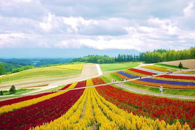 Hokkaido Farm Tomita Shikisai Hill Waterfall& Blue Pond Day Tour - Furano and Biei in One Long Day: what you really get