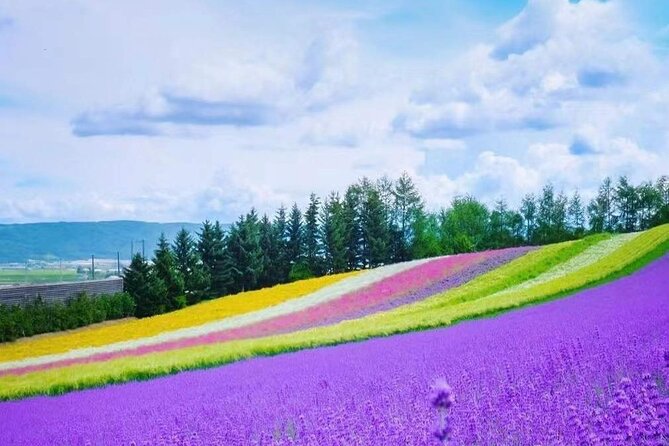 Hokkaido Farm Tomita Shikisai Hill Waterfall& Blue Pond Day Tour - Shikisai-no-Oka: seasonal color fields with a real walking chance