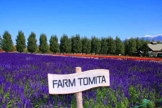 Hokkaido Farm Tomita Shikisai Hill Waterfall& Blue Pond Day Tour - Price and Logistics: hotel pickup, timing, and the lunch reality
