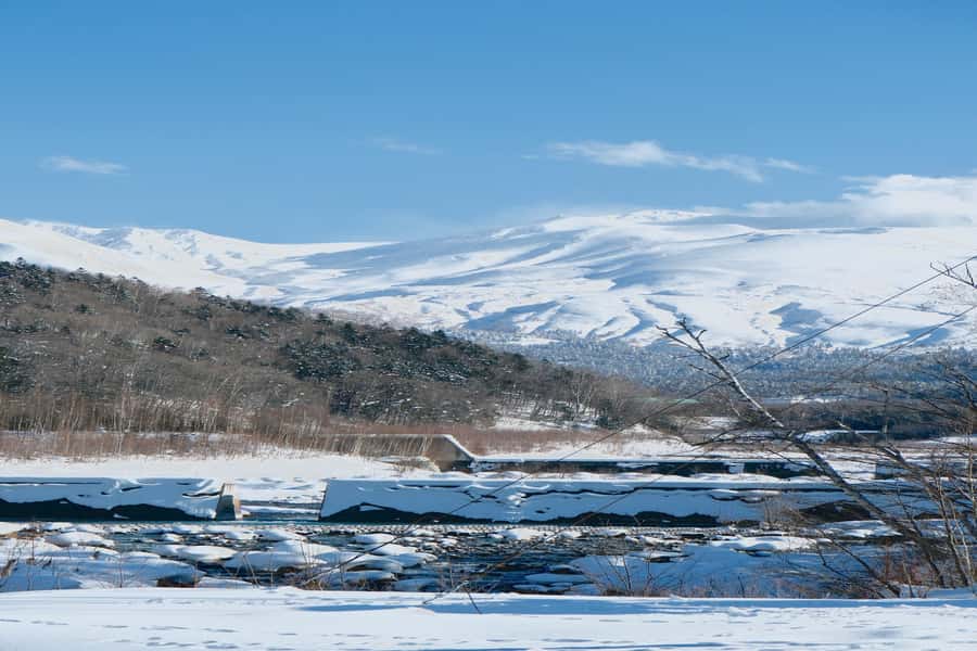 Hokkaido Lavender farm & Furano Flower Tour from Sapporo - Tomita Farm vs Ningle Terrace: pick the right stop for your dates