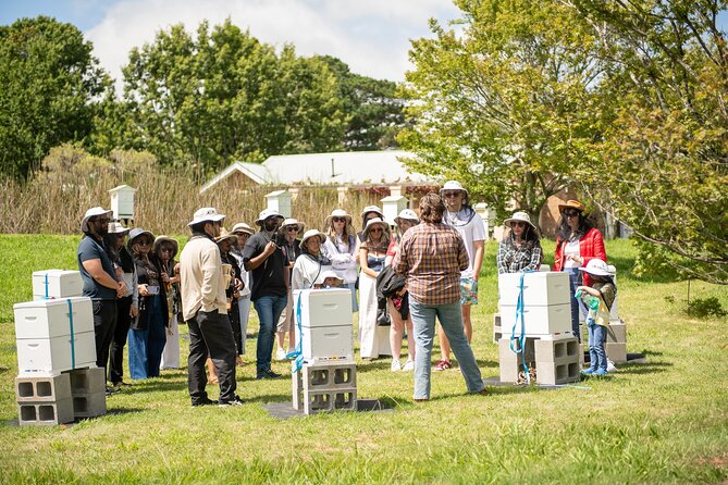 Honey Farm Tour. Morning Tea. Guided Tasting - Key things to know before you go