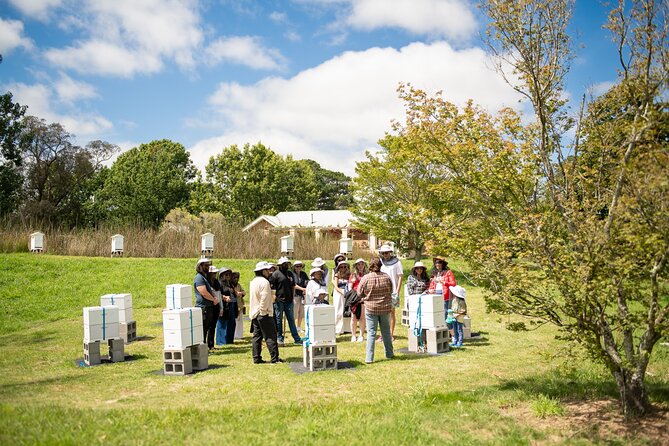 Honey Farm Tour. Morning Tea. Guided Tasting - The Flow Hive Demonstration and Modern Beekeeping Basics