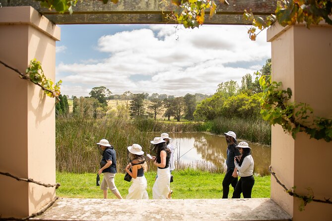Honey Farm Tour. Morning Tea. Guided Tasting - What Morning Tea Feels Like (and Why It Matters)