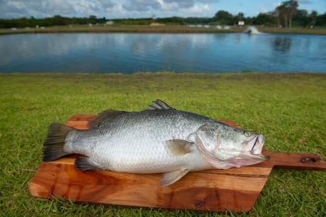 Hook-A-Barra Fishing and Farm Activity - Fishing Coaching That Actually Helps