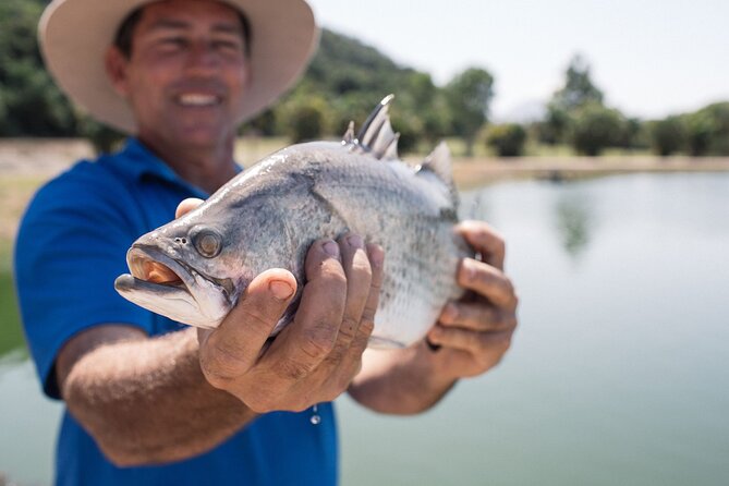 Hook-a-Barra Gourmet Farm Tour - Hook-a-Barra: what this 70-minute barramundi farm tour really feels like