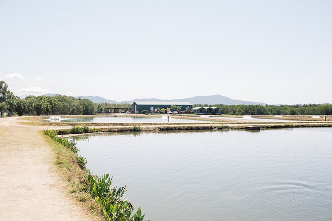 Hook-a-Barra Gourmet Farm Tour - Lunch: what the included barramundi tasting plate actually gives you