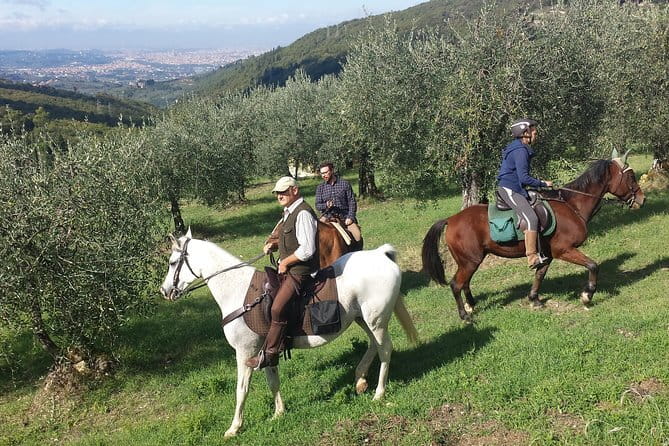 Horse ride, Olive Oil and local foods tasting in a Tuscan farm - Key things I’d circle on your plan