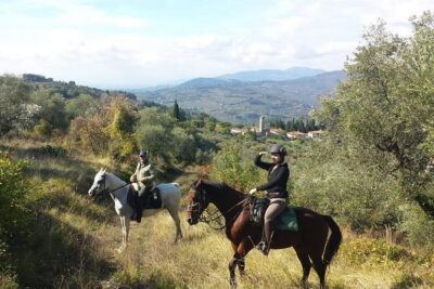 Horse ride, Olive Oil and local foods tasting in a Tuscan farm - Horse Riding in Reggello: Your Ability Sets the Tempo