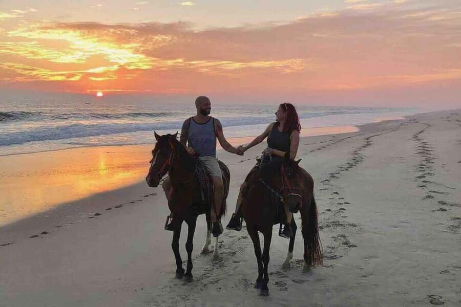 Horse Riding and Training Experience on a Farm in Antalya - What Your $32 Ticket Covers (and Where You Might Spend Extra)