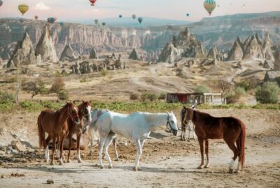 Horse Riding Cappadocia- Cappadocia Horse Farm - Pickup Routes and Sunset Timing From Göreme to Uçhisar