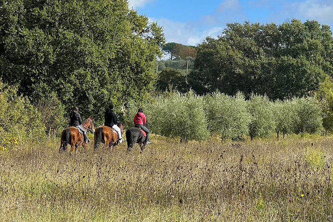 Horseback riding in Montepulciano Tuscany, lunch on the farm - Horseback Riding in Montepulciano: Why This Works So Well