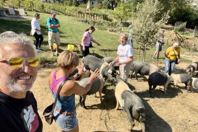 Horseback riding in Montepulciano Tuscany, lunch on the farm - The Ride Through Vineyards and Olive Groves (and What It Feels Like)