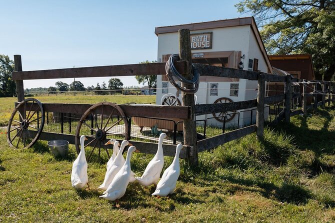 Humberstone Ranch Visit with Mini Domestic Animals - Key Highlights You’ll Care About