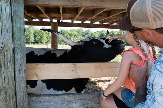 Humberstone Ranch Visit with Mini Domestic Animals - A One-Hour Farm Break From Niagara Falls