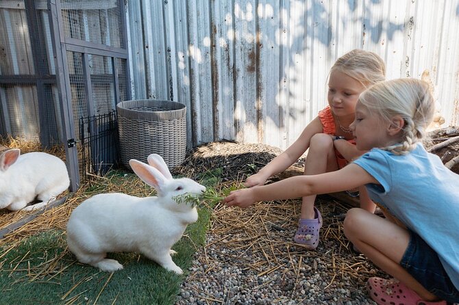 Humberstone Ranch Visit with Mini Domestic Animals - Piglet Charlotte and Wilbur: Belly Rubs Without the Wait