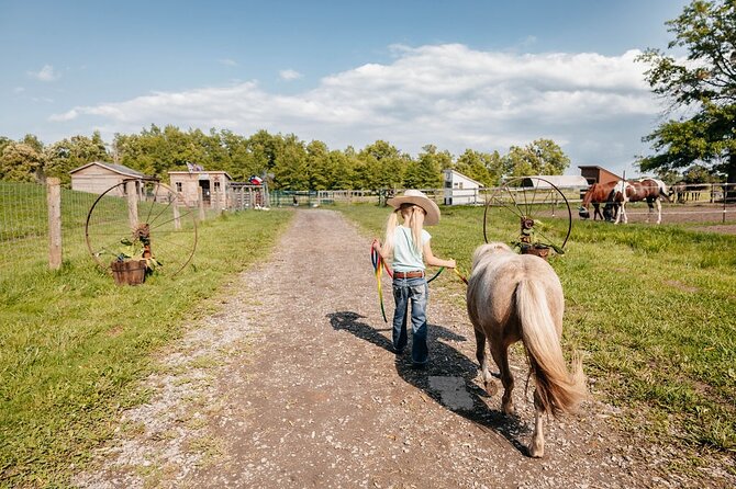 Humberstone Ranch Visit with Mini Domestic Animals - Miniature Horses Finale: Brush Winnie, Lenny, and Lola