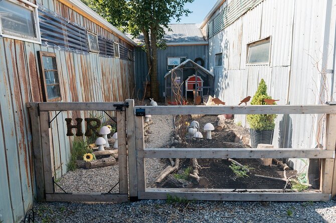 Humberstone Ranch Visit with Mini Domestic Animals - Price and Logistics: Is $15.01 Worth It?