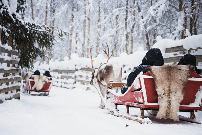 Husky and Reindeer Experience With Snowmobiling - A Winter Triple Combo That Actually Works in One Half Day