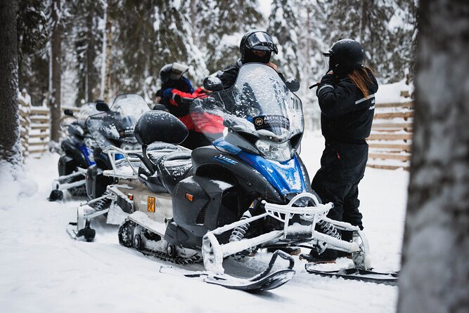 Husky and Reindeer Experience With Snowmobiling - Price and Value: What You Get for $237.26