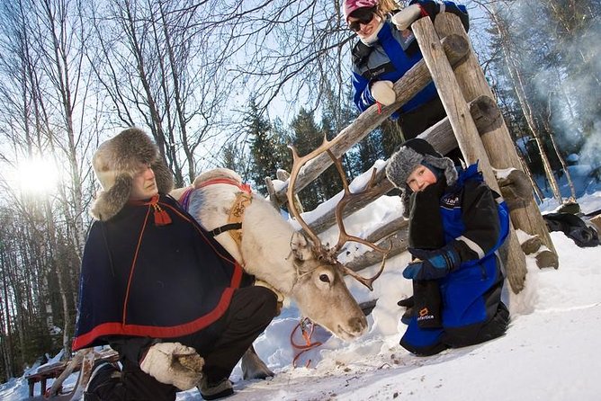 In Pursuit of Reindeer - Snowmobile safari to reindeer farm in Rovaniemi - Key Points to Know Before You Go