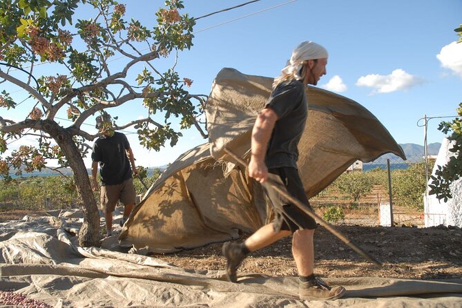 Insightful Pistachio Orchard and Factory Tour - The 2-hour format: what the day feels like on the ground
