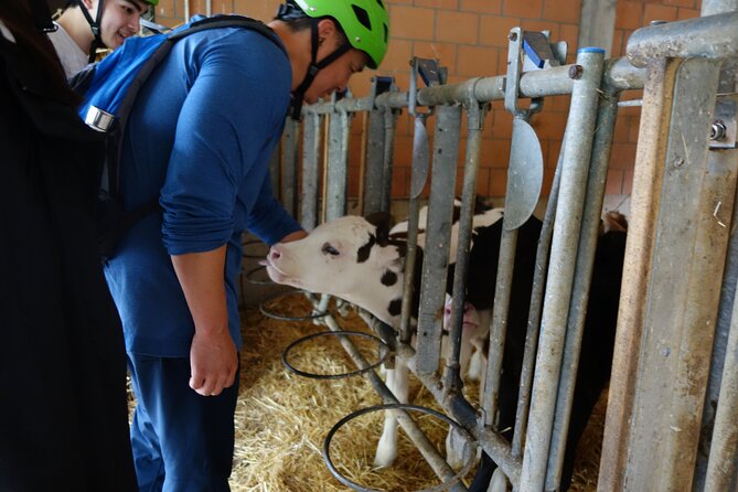 Interlaken 3-Hour Guided E-Bike Tour with a Farm and Ancient Villages Visit - The Working Farm Visit: Cows, Horses, and Fresh Milk