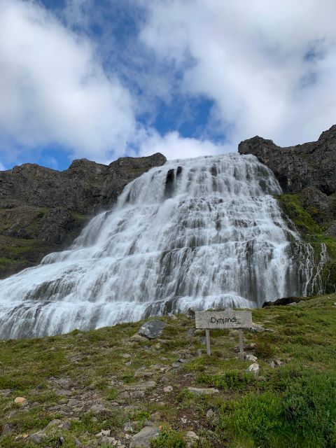 Isafjordur: Dynjandi Waterfall Tour and Icelandic Farm Visit - Should you book the Ísafjörður: Dynjandi Waterfall and Icelandic Farm tour?