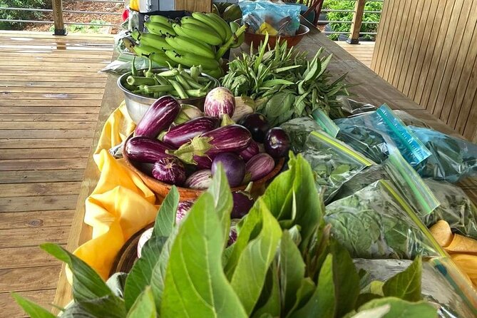 Island Eco Farm Tour with Local Treats and Sapphire Beach Time - Sapphire Beach for About Two Hours: White Sand and Big Views