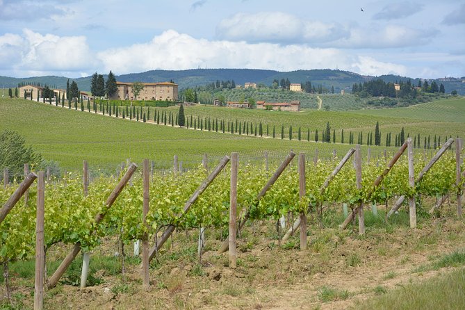 It's Wine Time! 2 wineries & farm-to-table lunch—max 8 pp - Guides Who Translate Tuscan Wine Into Plain English