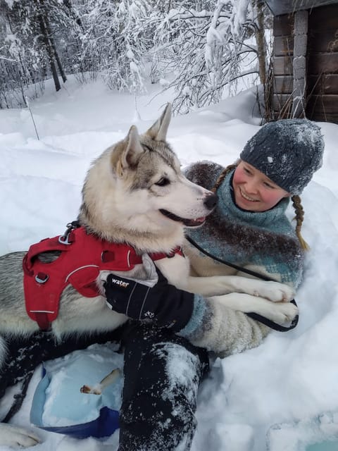 IVALO: Experience Farm Visit | small group - Getting There: Bus Stop Tolonen TH and Taxi Reality