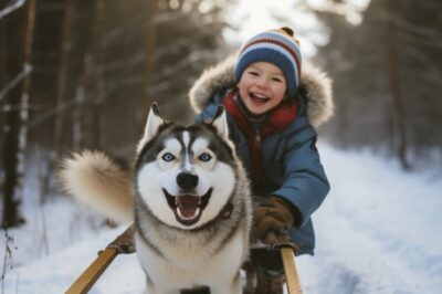 IVALO: Experience Farm Visit | small group - Price and Value: What You’re Paying For at $57