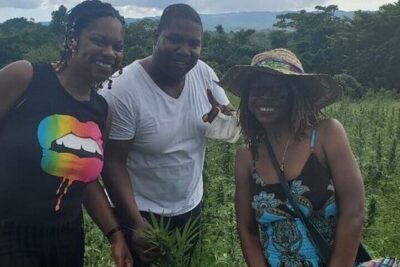 Jamaica Farm Private Dispensary Tour Montego Bay - Price and Value: Why $130 Can Make Sense Here