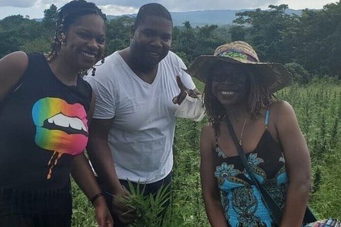 Jamaica Farm Private Dispensary Tour Montego Bay - Price and Value: Why $130 Can Make Sense Here