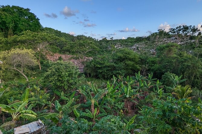 Jamaican Roots Tropical Farm Tour - Taste & Explore (Negril) 2hr - The Fruits and Plants I’d Put on Your Mental Checklist