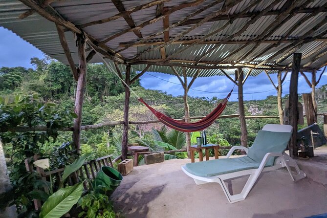 Jamaican Roots Tropical Farm Tour - Taste & Explore (Negril) 2hr - Getting There From Negril: Pickup, Air-Conditioned Ride, and Timing