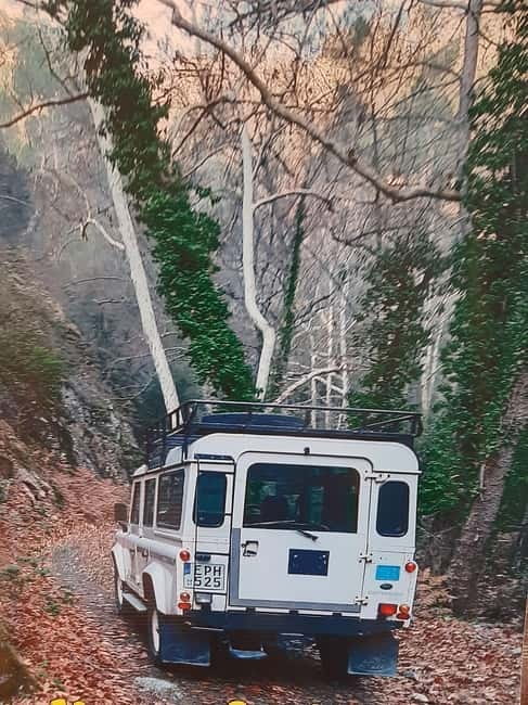 Jeep safari in French, English to Akamas, Gorge, Donkey Farm - What makes this jeep safari special