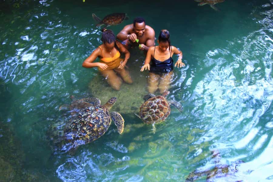 Joazani forest & Spice farm with lunch - Guide + Language Options: How You’ll Experience the Day