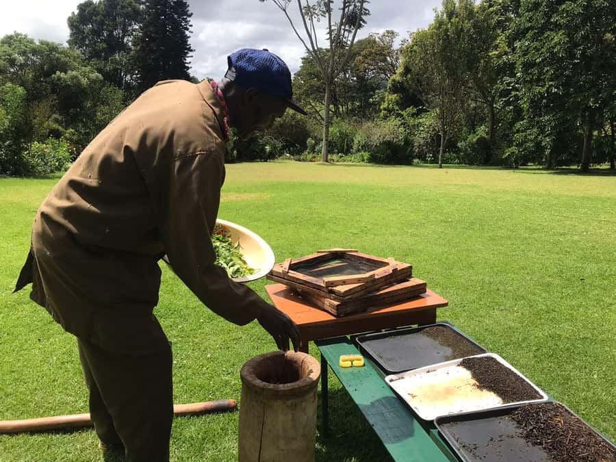 Kaimbethu tea farm tour and lunch package - Key Points You’ll Care About